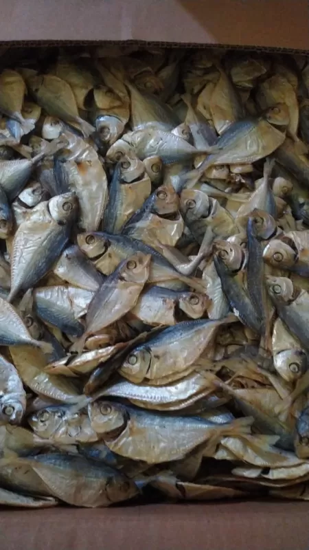 ikan asin salar rebus